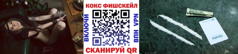 Кокаин Fish Scale  Купить закладки  Дорогобуж 