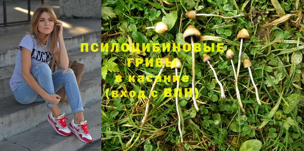 мяу мяу мука Корсаков