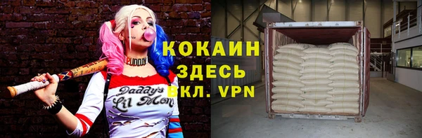 прущие грибы Козловка
